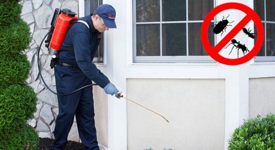 Kızılcahamam Kemirgen İlaçlama böcek ilaçlama ve haşere kontrolü — ilaclama-tr.com